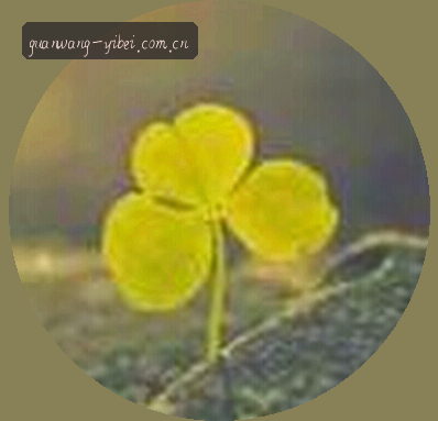 陈芳